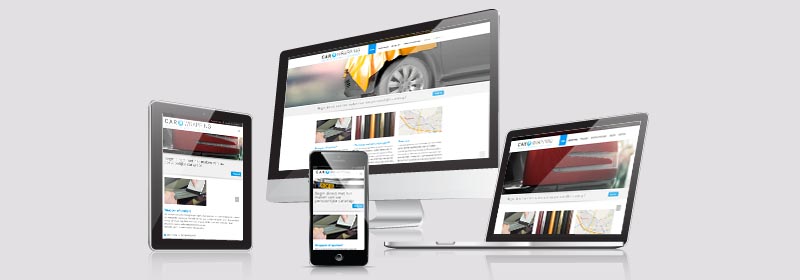 Car Wrapping Friesland website