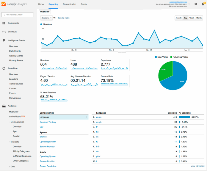 Voorbeeld van een Google Dashboard